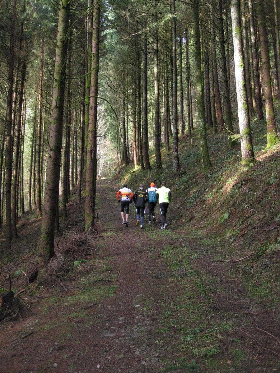 Lauftrainingslager im Schwarzwald